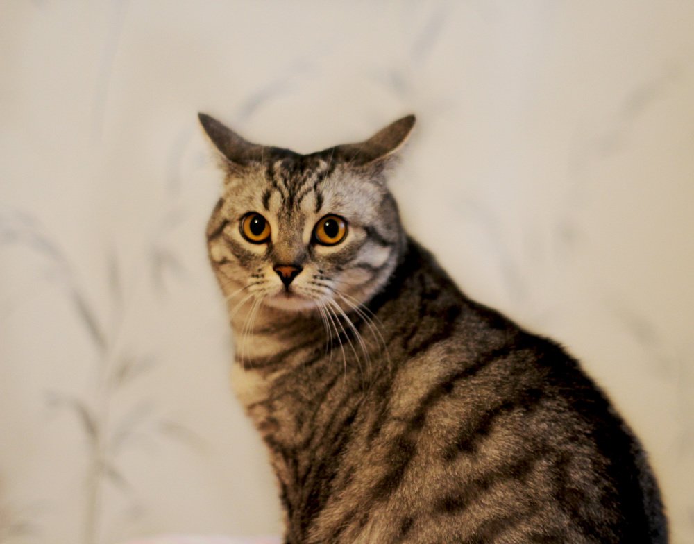 Photograph by Светлана Боброва