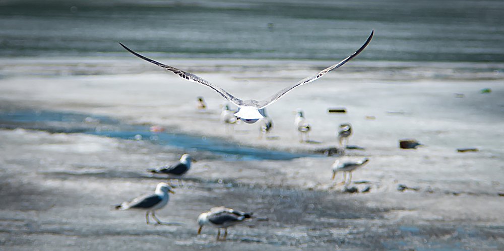 Photograph by Ильдар Шангараев