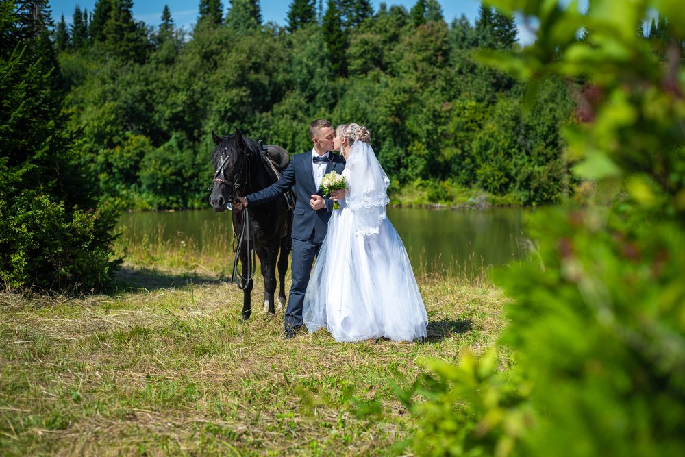 Photograph by Ильдар Шангараев