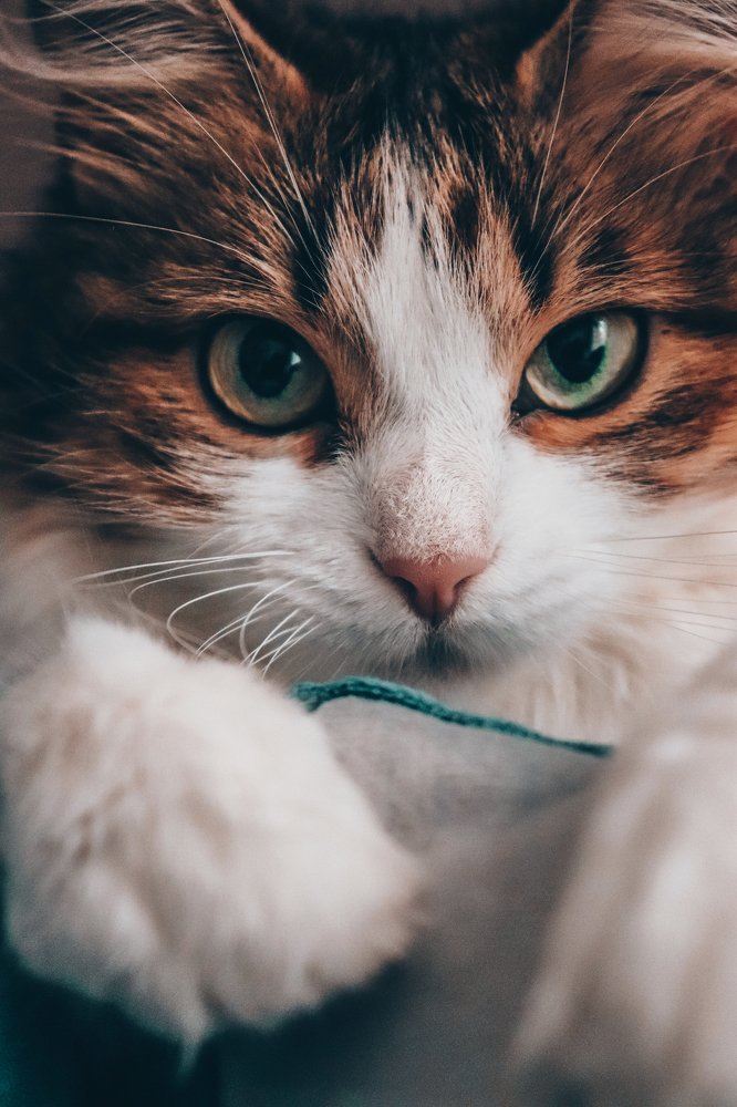 Photograph by Юлия Минаева