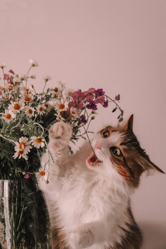 Photograph by Юлия Минаева