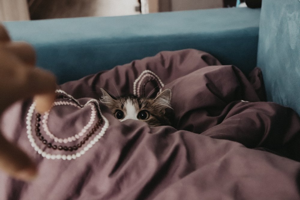 Photograph by Юлия Минаева