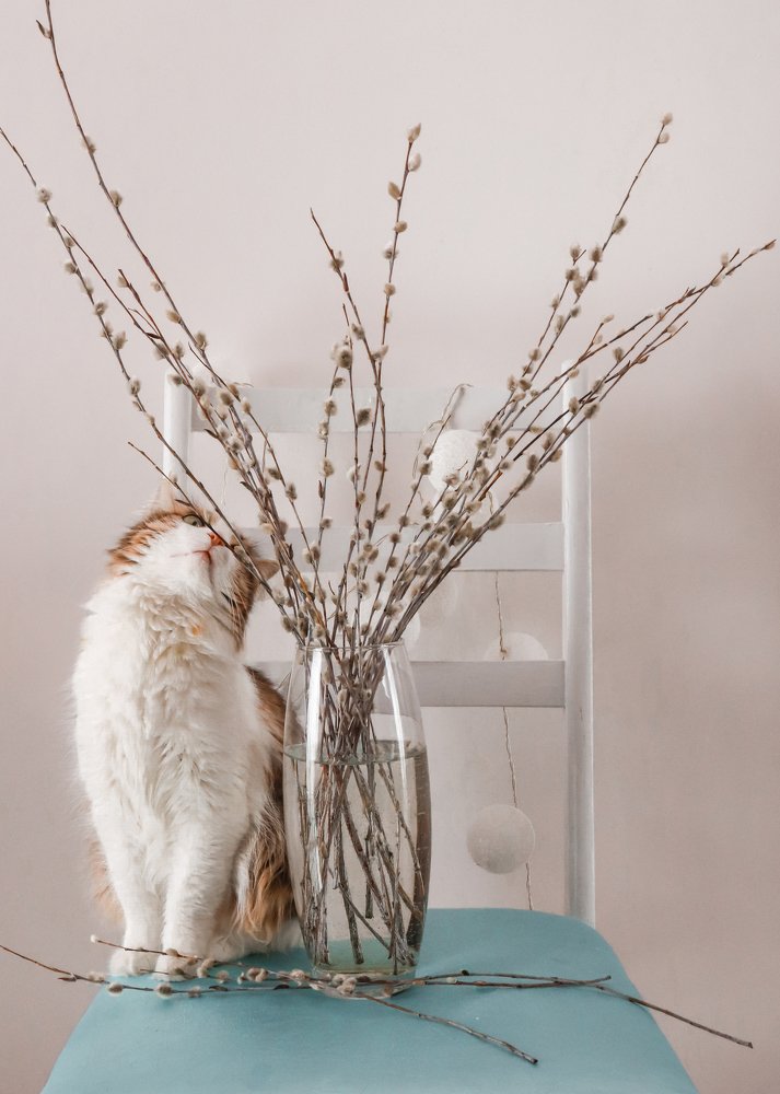 Photograph by Юлия Минаева