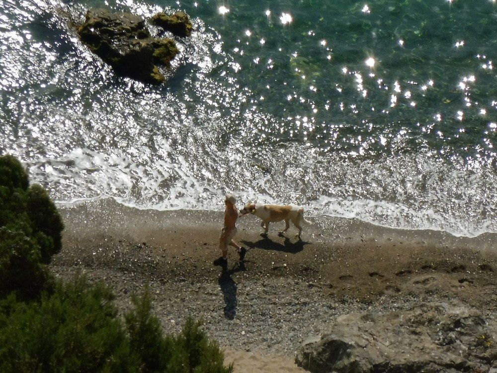 Photograph by Елена Коробкина