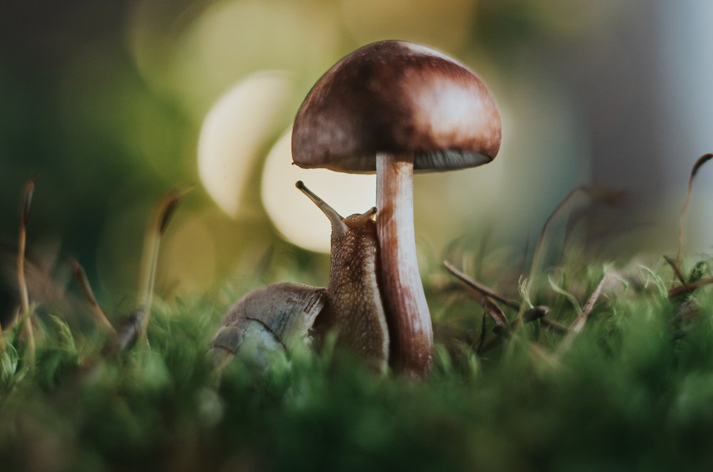 Photograph by Динара Зуйкова