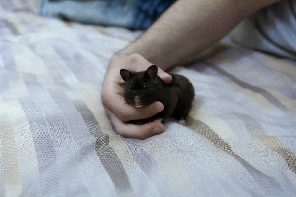 Photograph by Александра Родионова