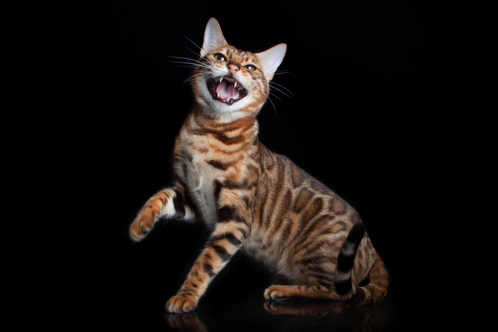 Photograph by Инга Стрижаченко