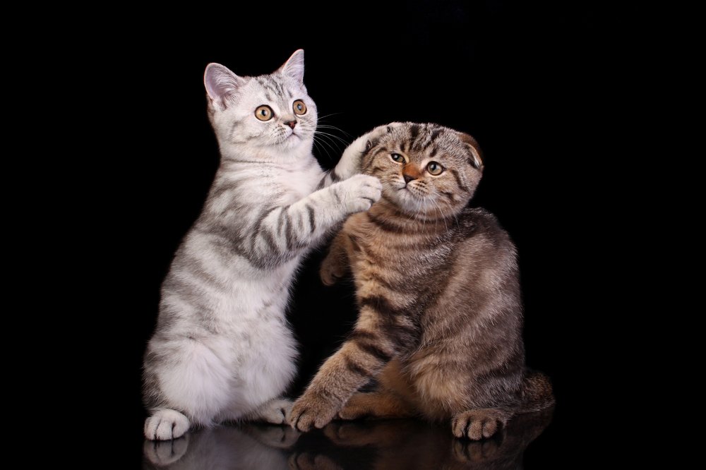 Photograph by Инга Стрижаченко