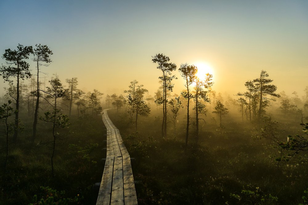 Photograph by Simona Stalidzāne