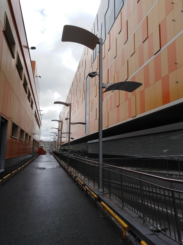 Ритмы неяркого дня.