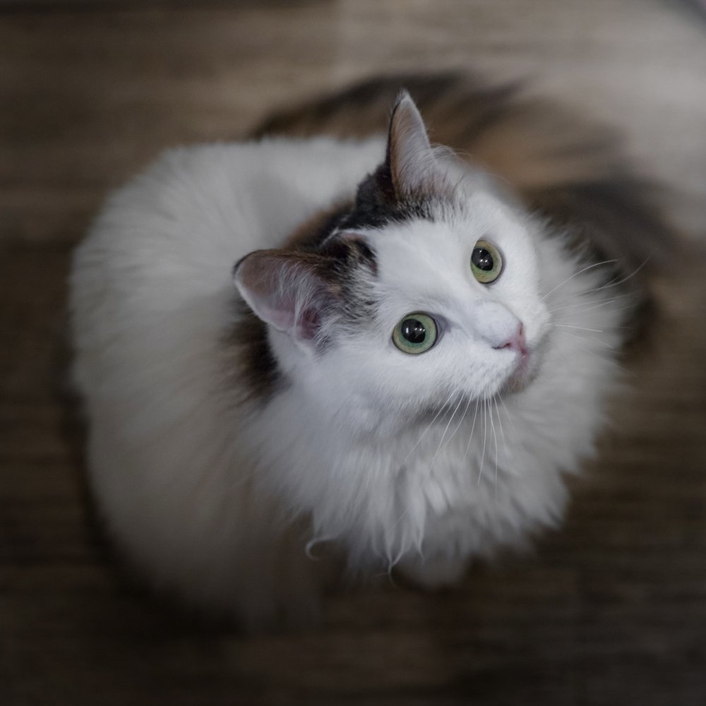 Photograph by Евдокия Спуре