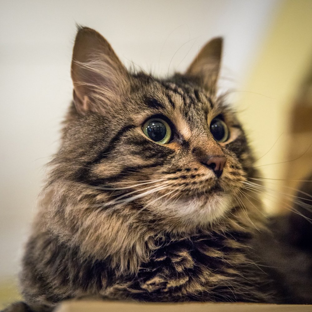 Photograph by Евдокия Спуре