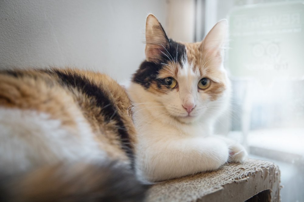 Photograph by Евдокия Спуре