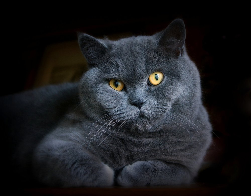 Photograph by Сергей Алексеев