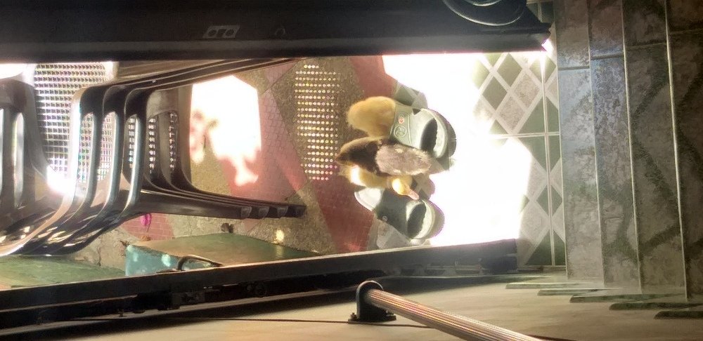Photo #4986758
