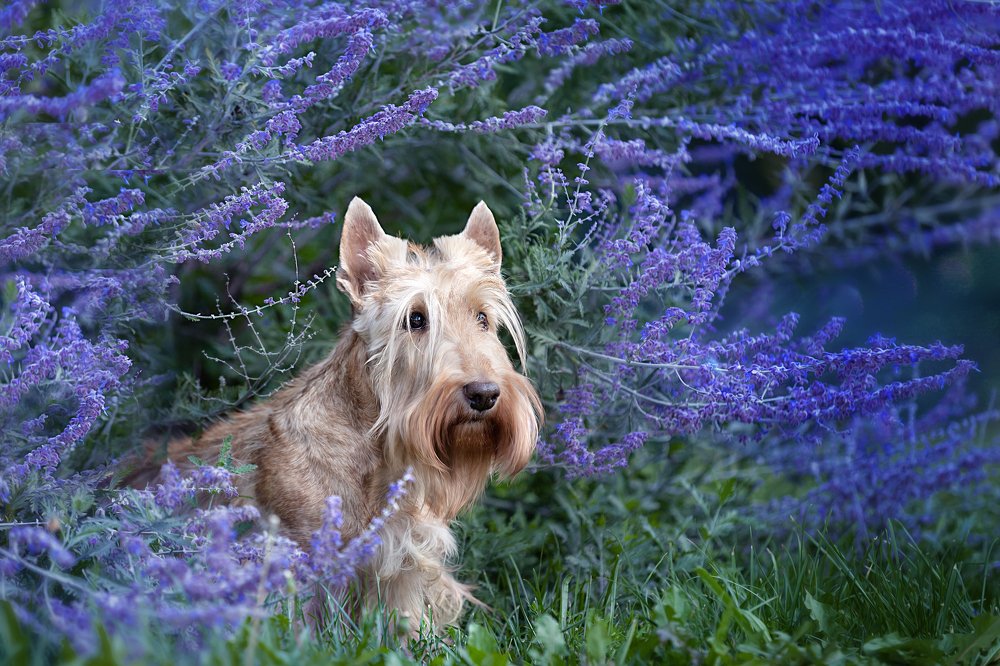 Photograph by Наталья Павлушина