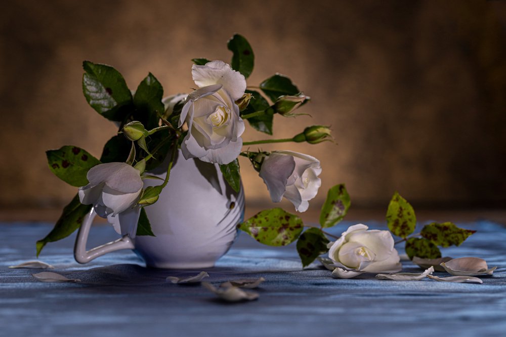 Осенние розы