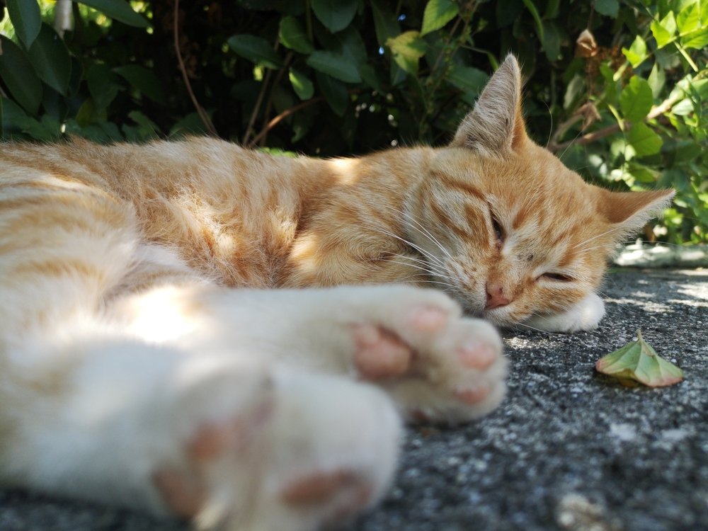 Photograph by Ирина Алексеевская