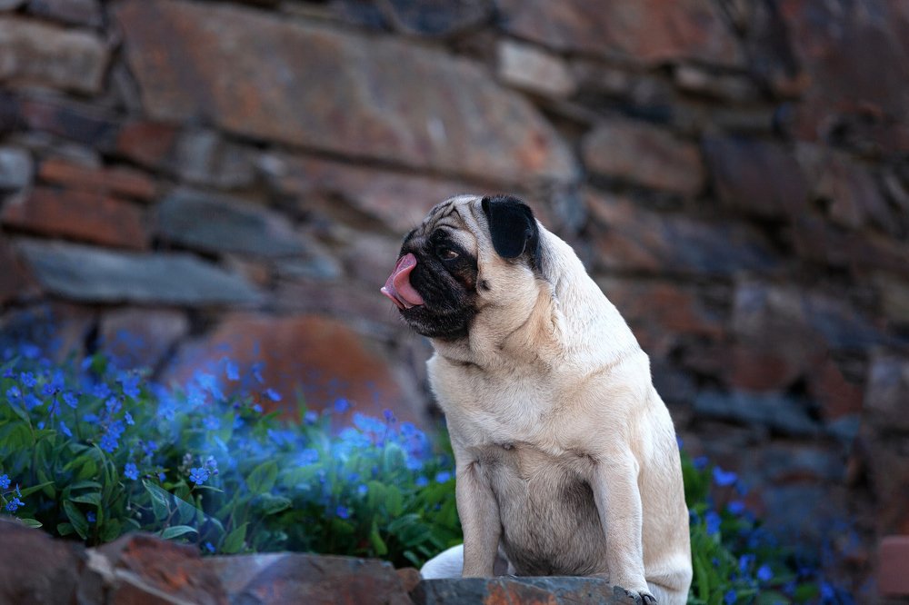 Photograph by Natalia