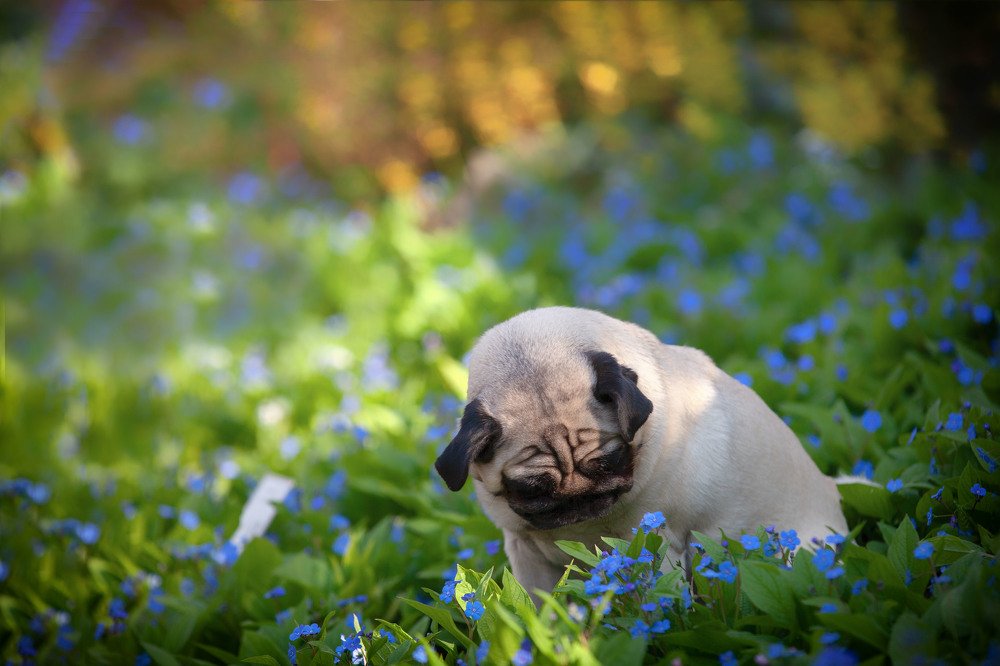 Photograph by Natalia