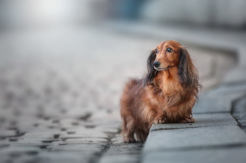 Photograph by Natalia