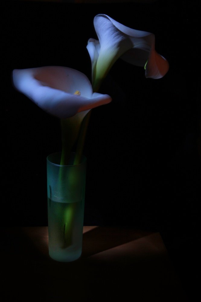 Photograph by Salvatore Palumbo