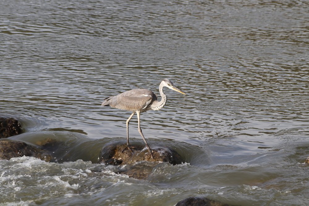 Photograph by GUNSEL SECKİNER