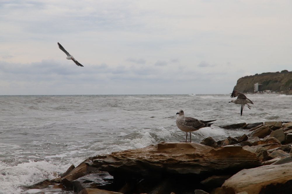 Photograph by Дарья Околова