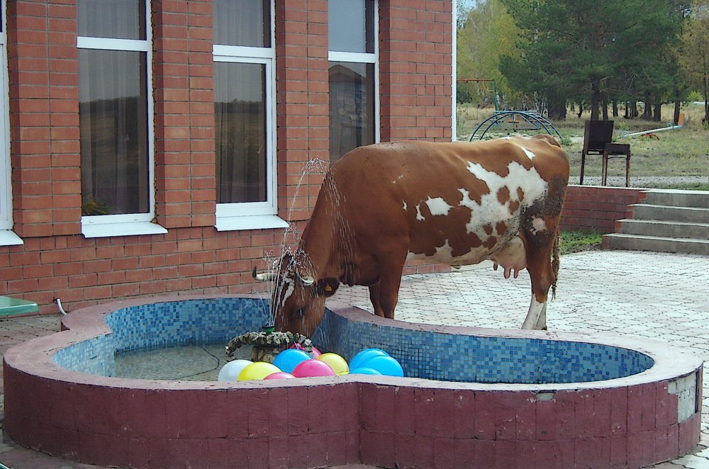 после  свадьбы