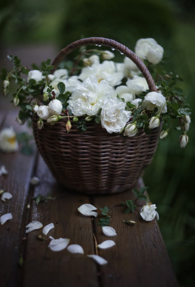 Photograph by Татьяна Кытина