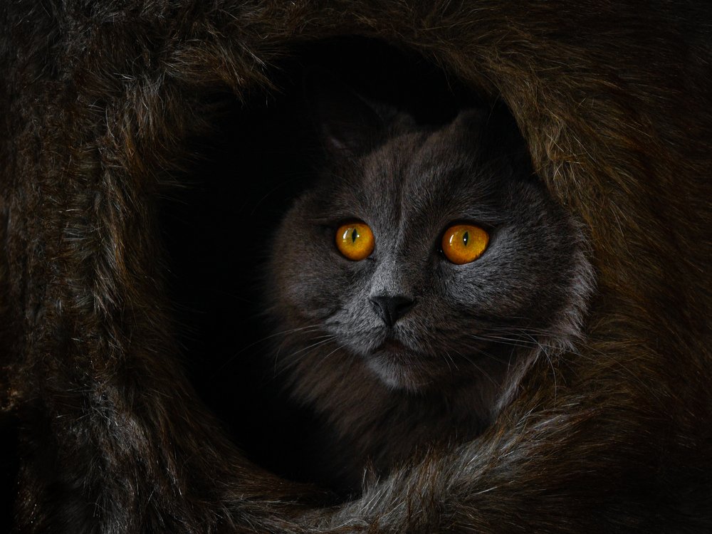 Photograph by Ricardo Núñez Montero