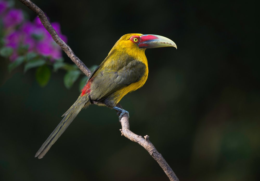 Photograph by Paulo Guerra