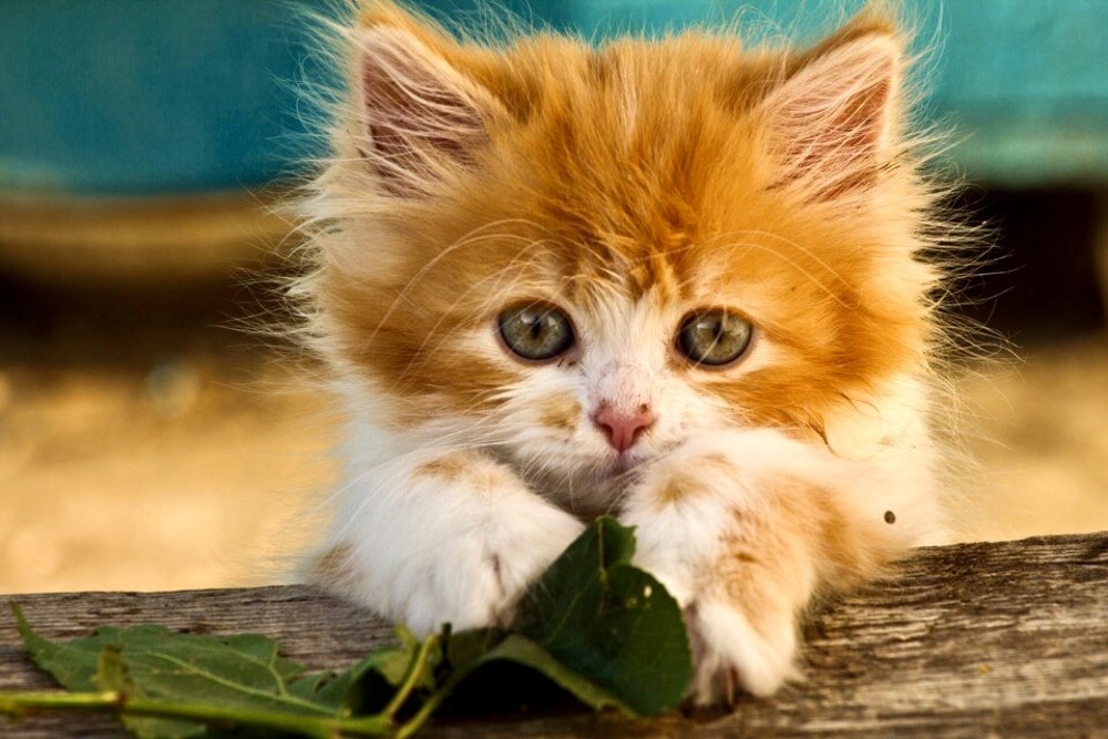 Photograph by Максим Воробьев