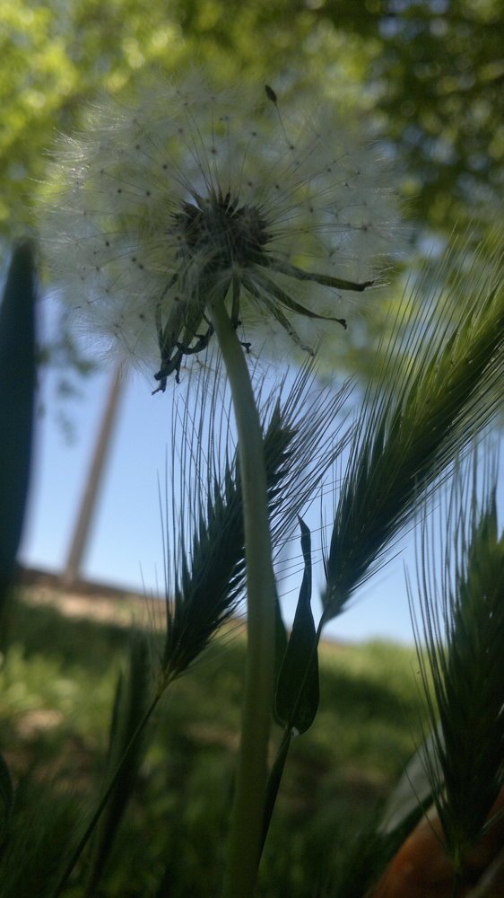 Photo #4987200