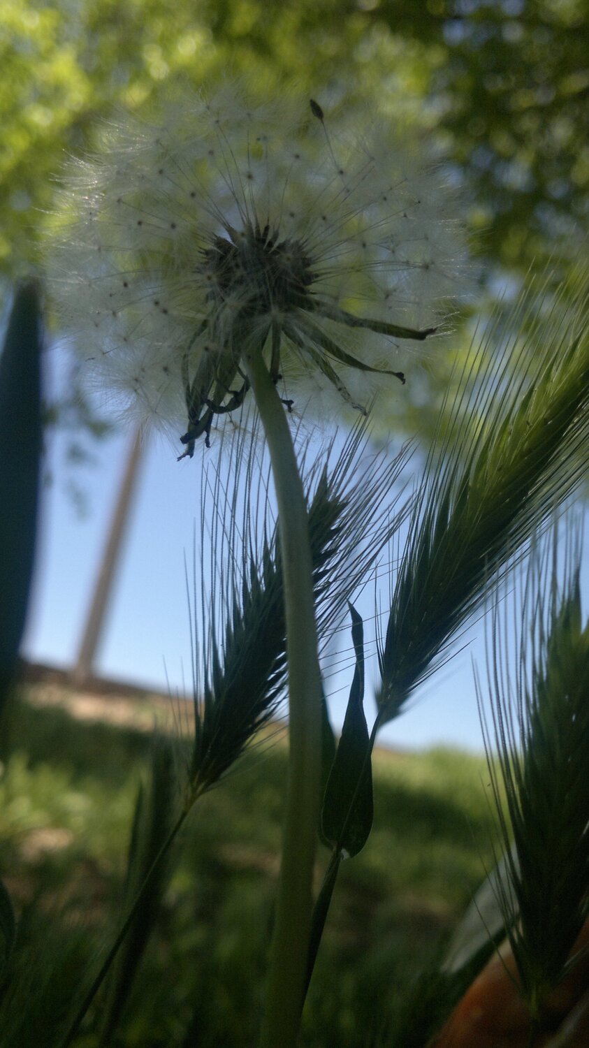 Photo #4987200