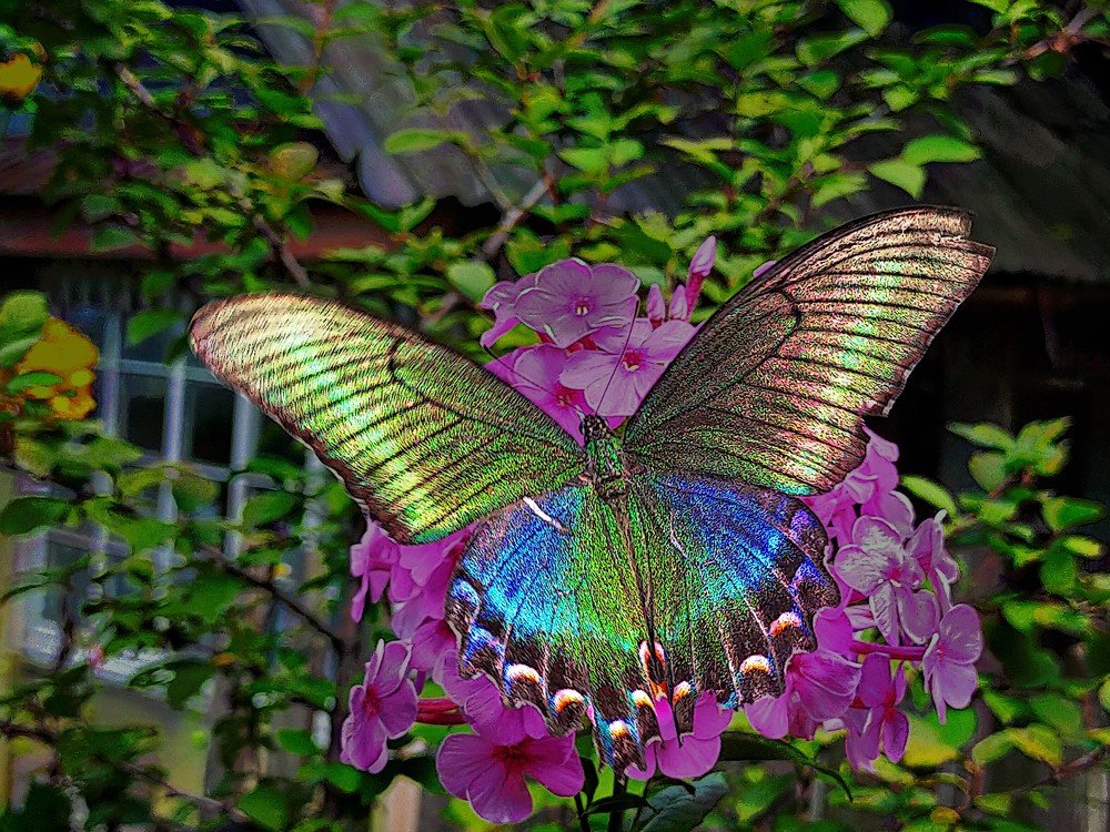 Photograph by Виктор Егоров