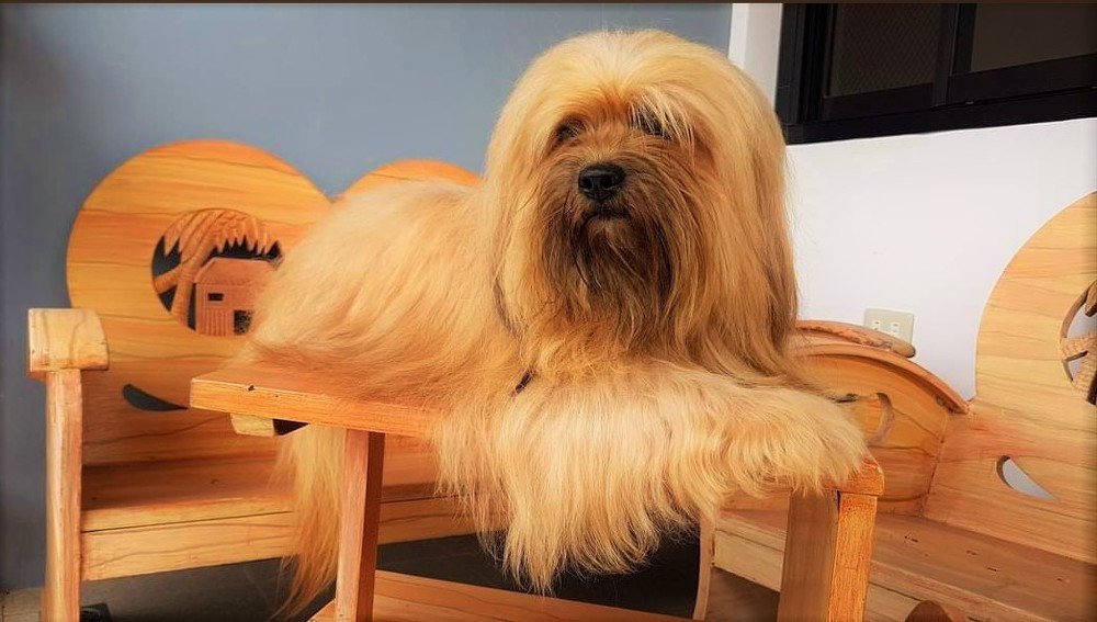 Фотография автора Adiebert Cornejo