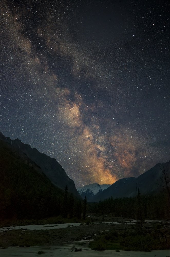 Сладкий сон Маашея