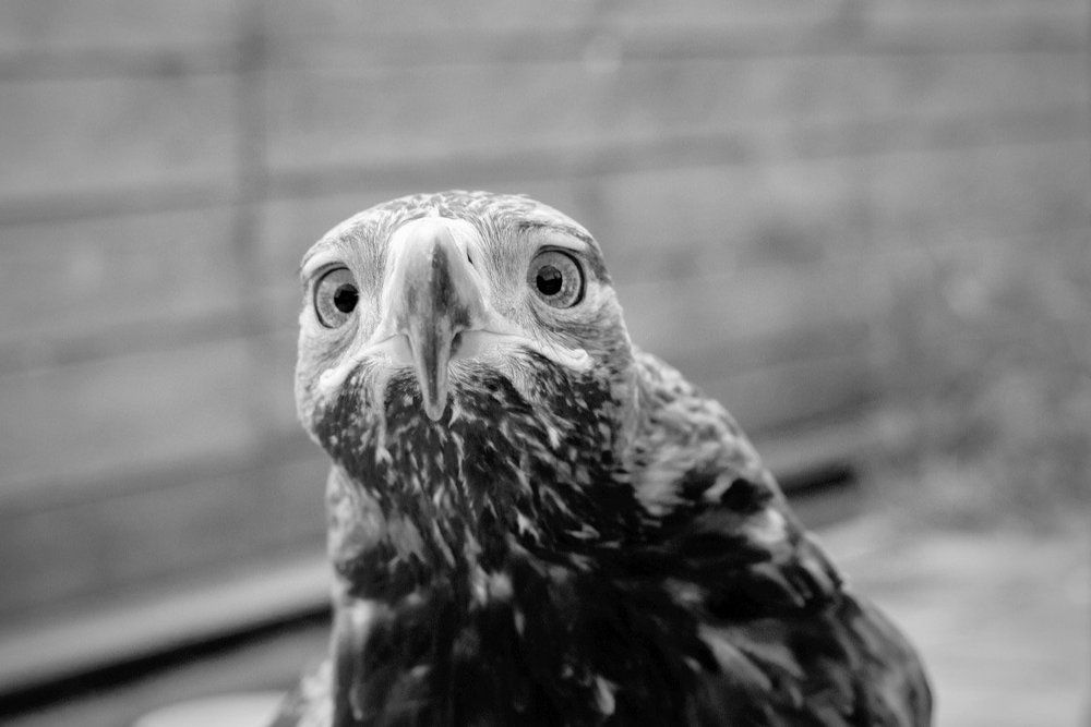 Photograph by Анастасия Полищук