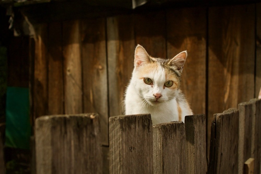 Photograph by Анастасия Полищук