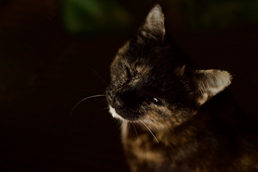 Photograph by Анастасия Полищук