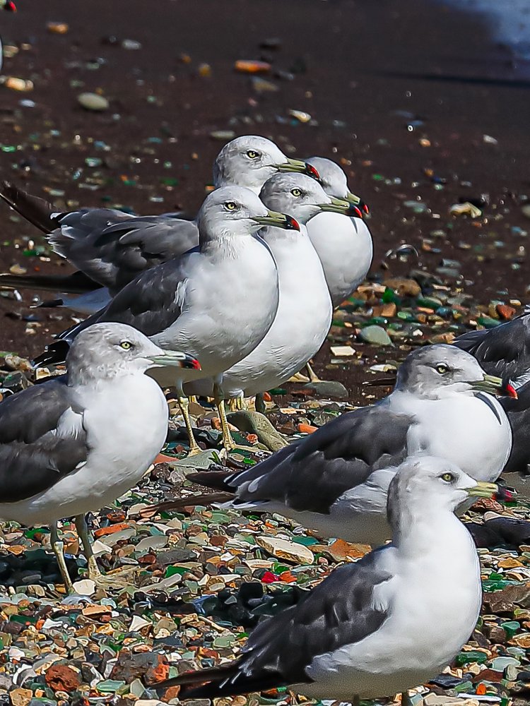 в ожидании шторма