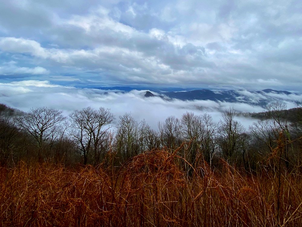 Photograph by Svitlana Krichevsky