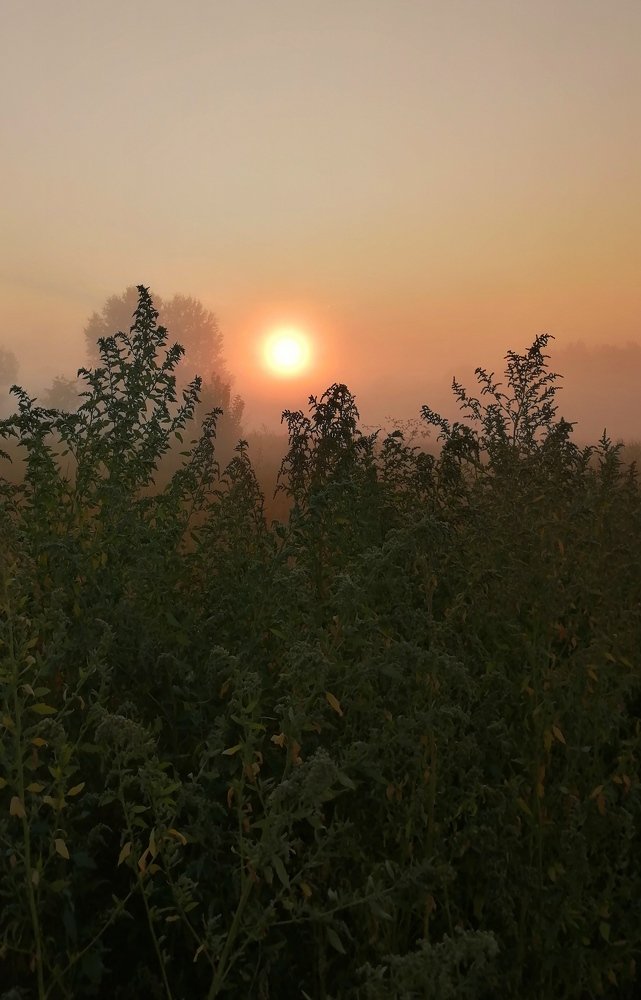 Photograph by Александр Симонов