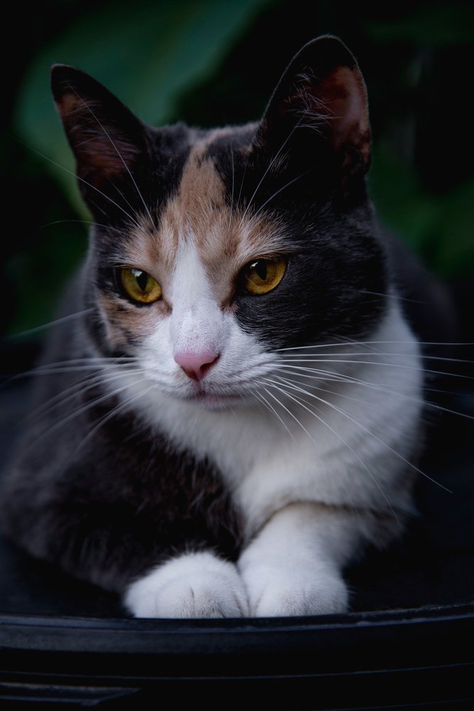 Photograph by Анна Халкониди