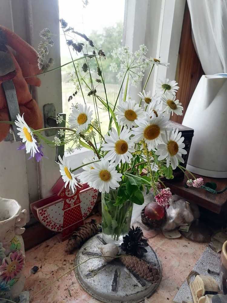 Photograph by Елена Малкова