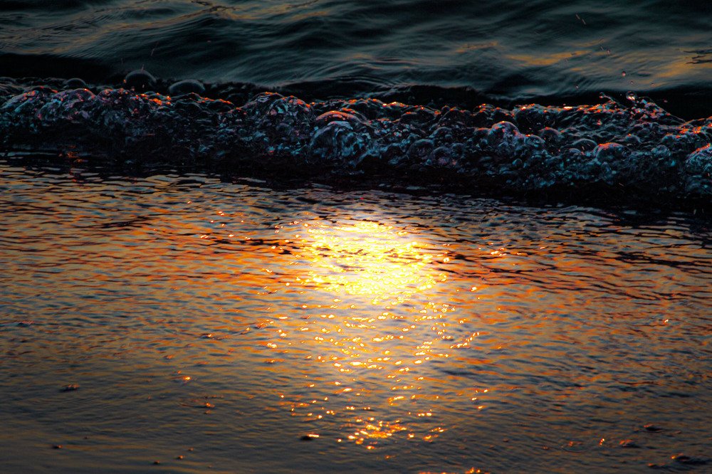 Photograph by 