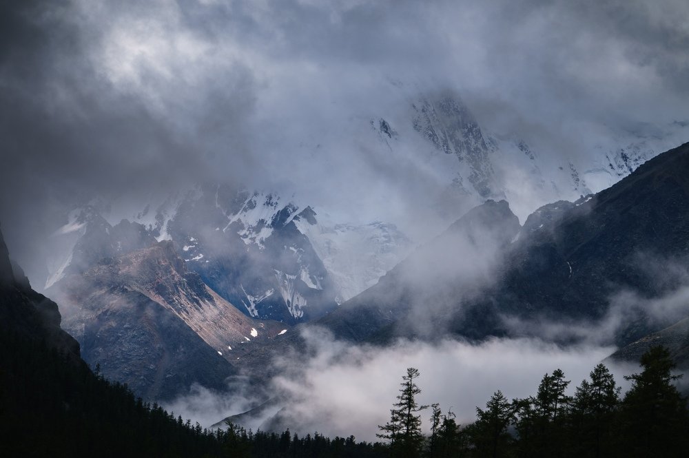 Игры света Маашея