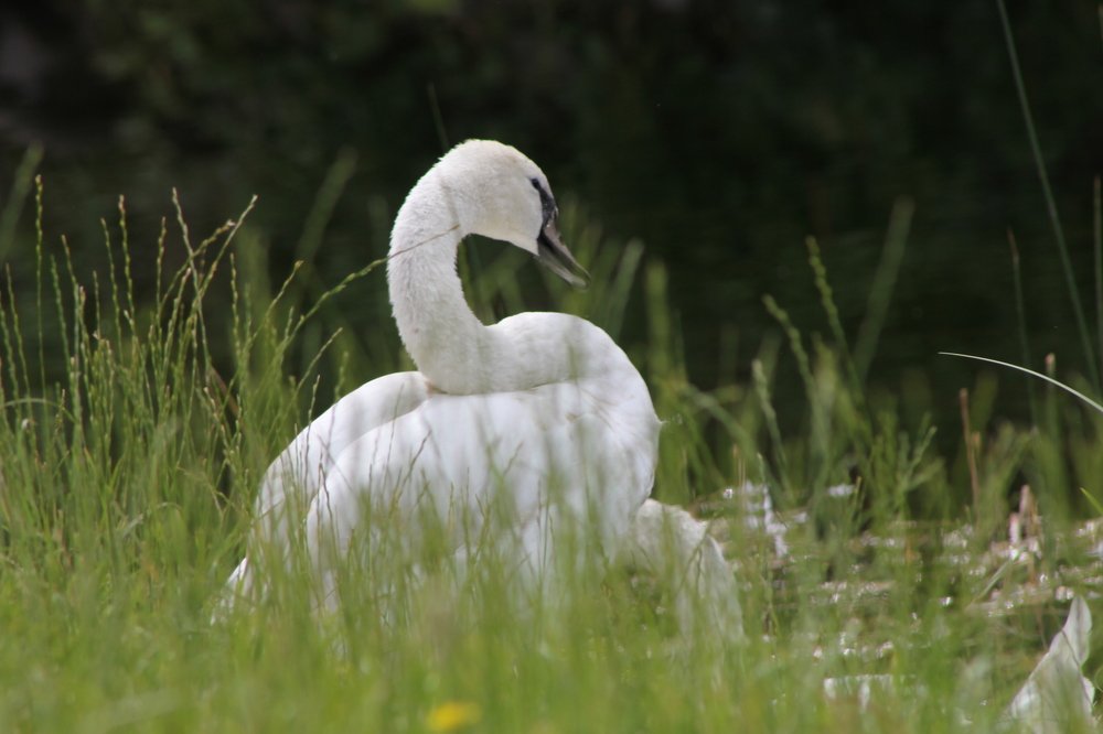 Photograph by Евдокия Спуре