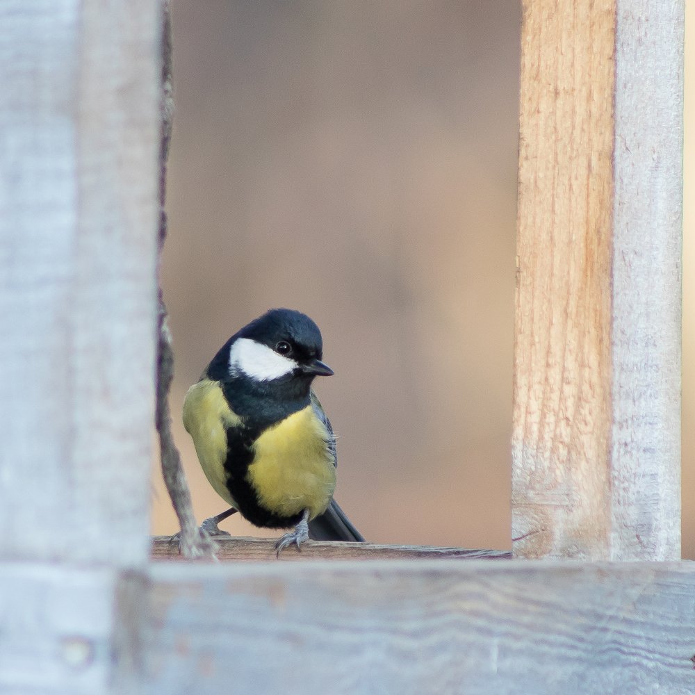 Photograph by Евдокия Спуре